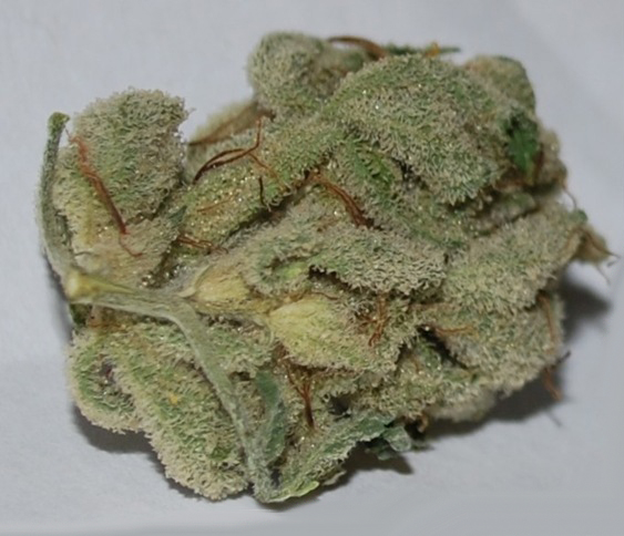 Lemon Delight (1 Ounce)