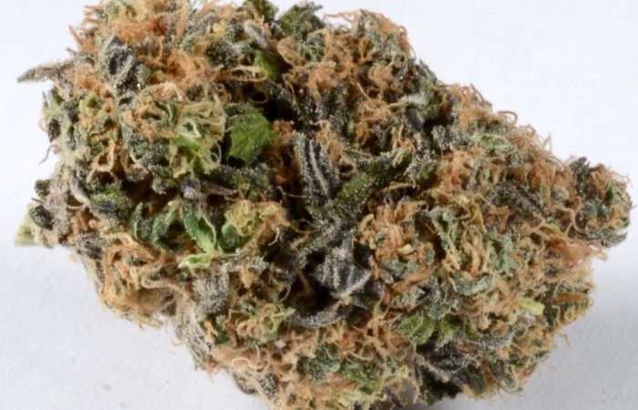 Fruit punch ( 1 ounce )