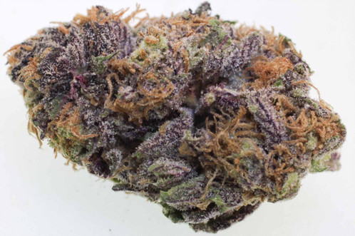Mimosa#26 28 grams