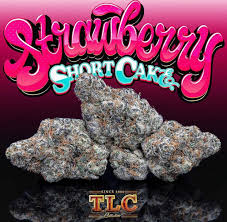 Strawberry Shortcake strain