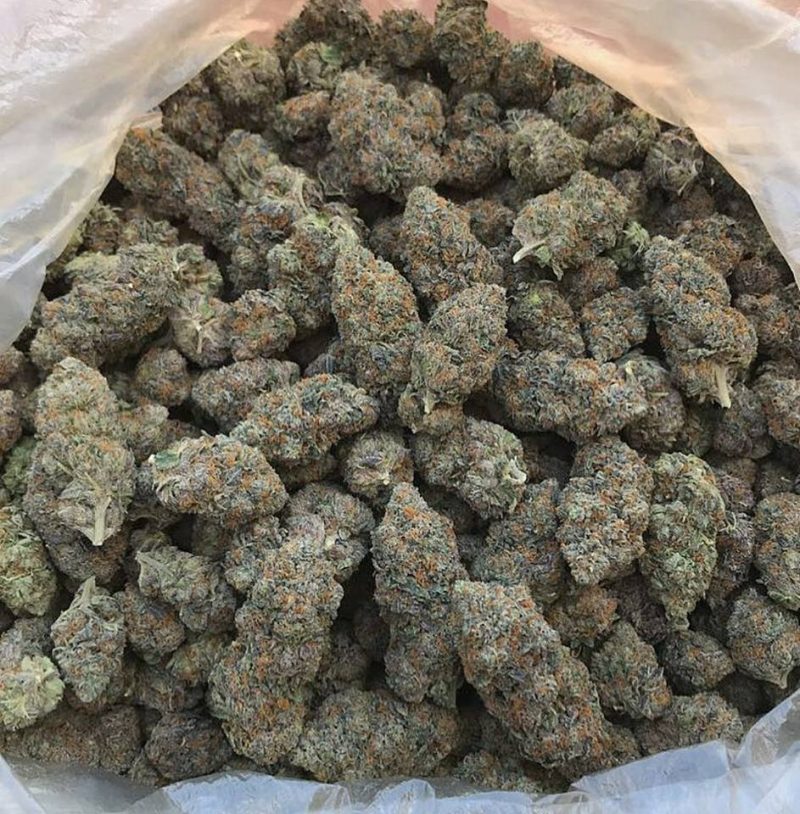 Jack Herer 28 grams