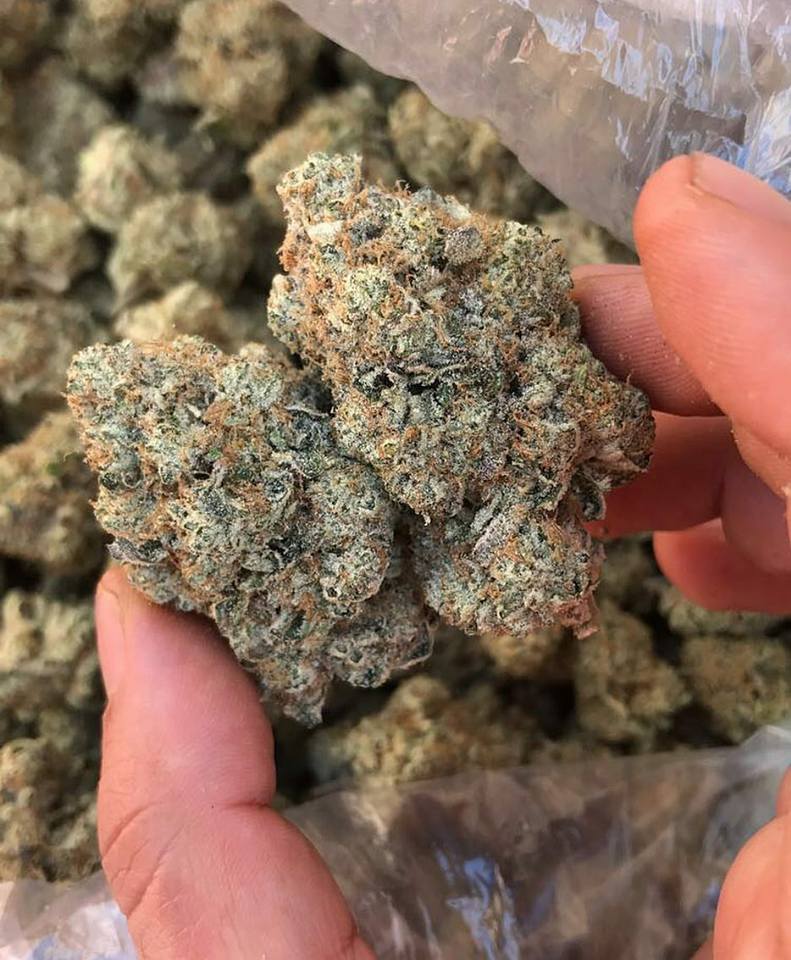 Fire OG 28 grams.