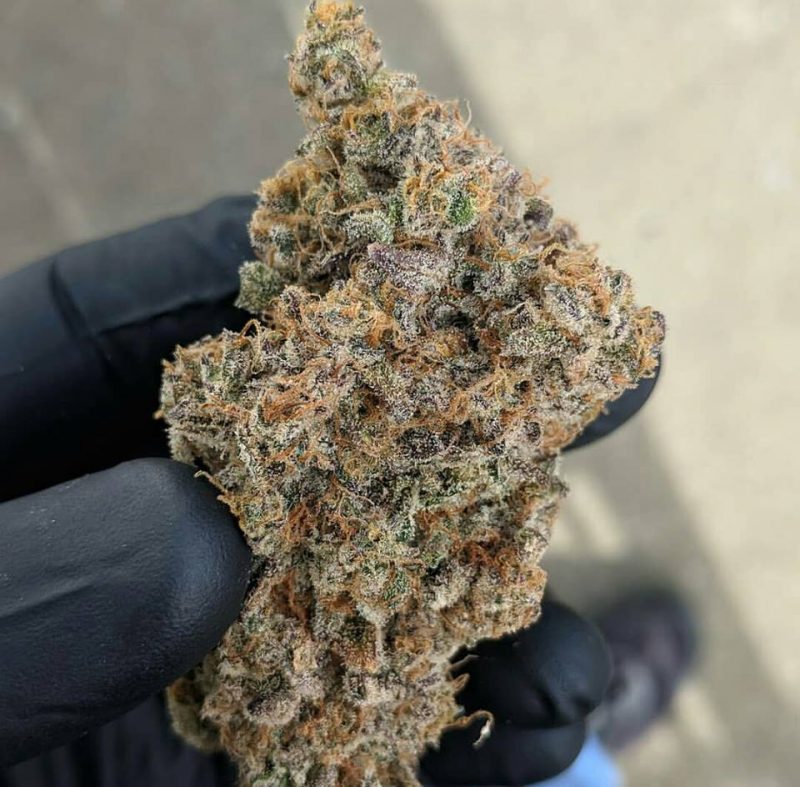 Blueberry Shortcake 28 grams   Plus 5 seeds - Image 3