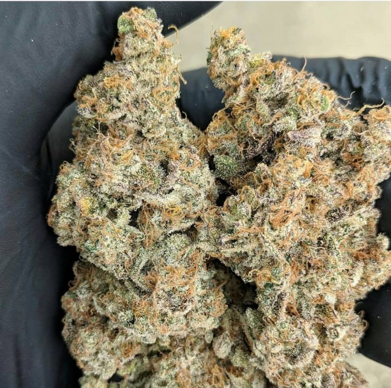 Blueberry Shortcake 28 grams   Plus 5 seeds