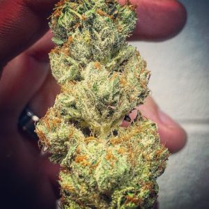 Bubba Kush 28 grams
