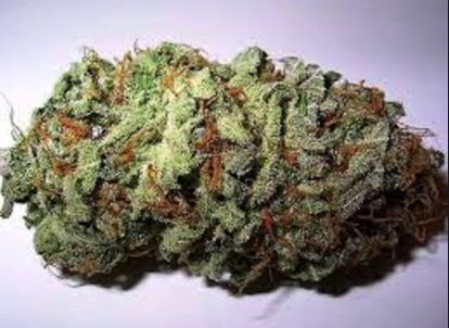 Girl Scout Cookies