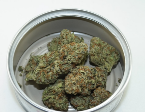 Girl Scout Cookies 28 grams