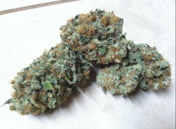 Gorilla Glue #1/ 28 grams