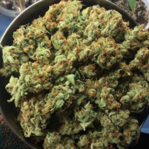 Cannabis Strains One to One Marijuana Strain