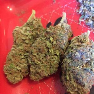 Mango kush (1 ounce)