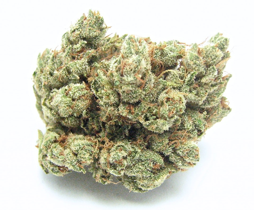 Jungle Cake 28 grams.
