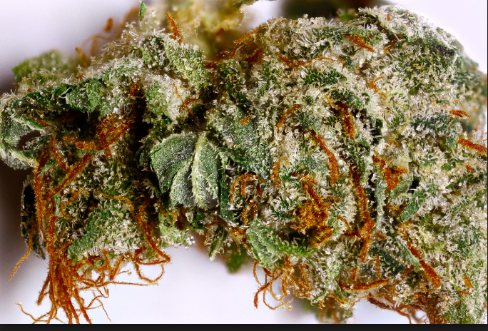 LA Confidential 28 grams