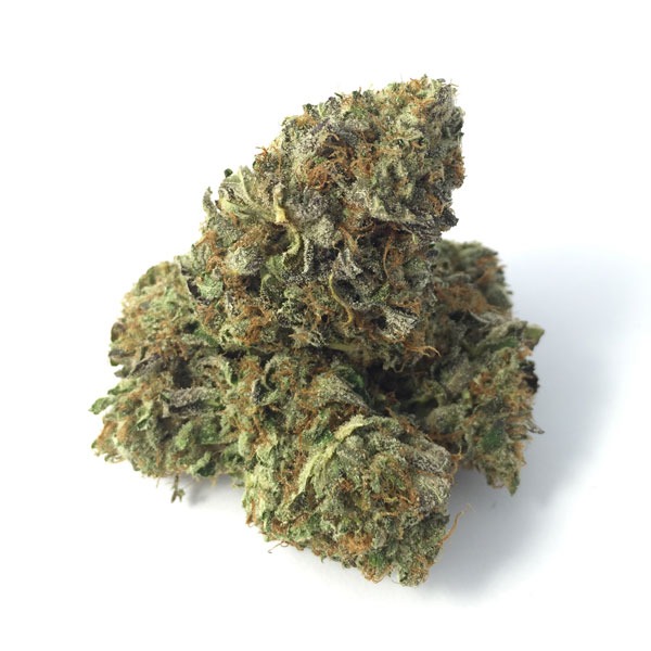 Orange Daiquiri 28 grams