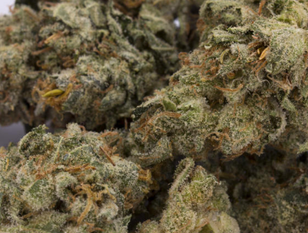 NYC Diesel (1 ounce)