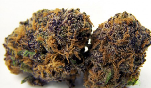 Purple Kush 10 grams.