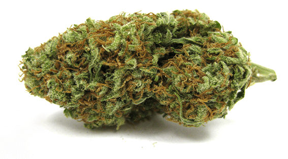 AK 47 10 grams