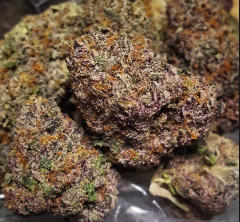 Bacio Gelato 28 grams.