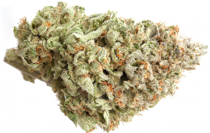 Candy Kush 28 grams