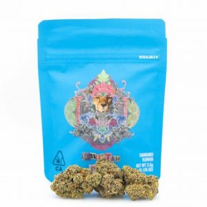 Cheetah Piss Cookies strain