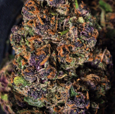 Forbidden Fruit 28 grams