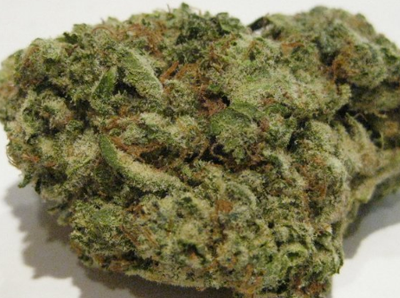 G 13 28 grams.