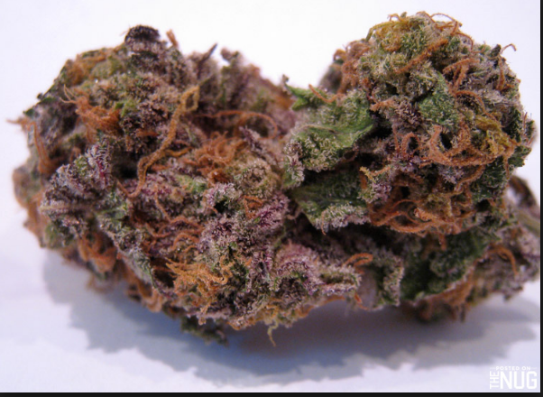 Grand Daddy Purple 28 grams
