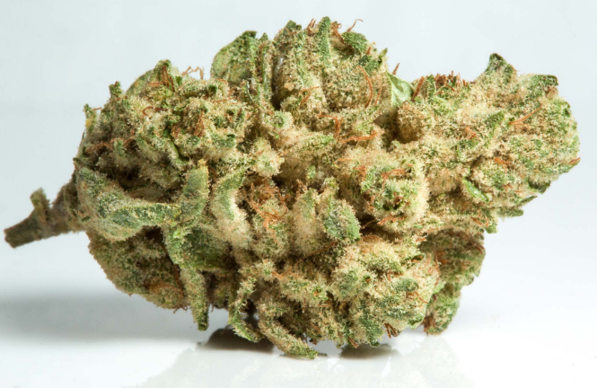 Gorilla Glue(1 ounce)