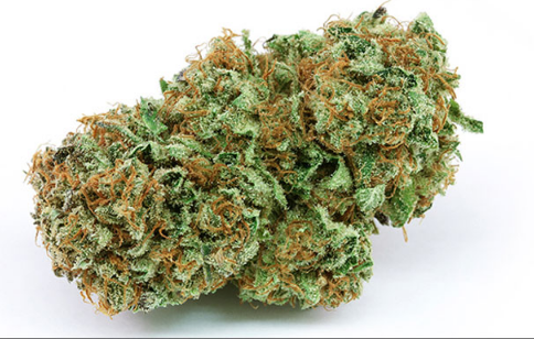Harlequin High CBD Hemp Flower