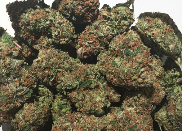 Hindu Kush ( 1 ounce)