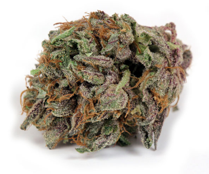 Master kush 28 grams