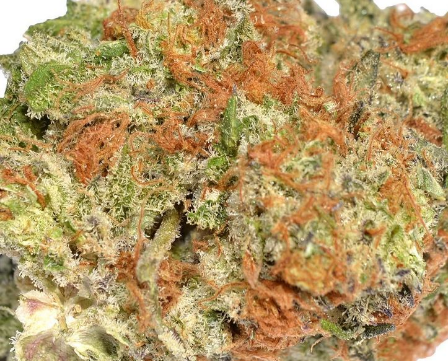 Mendo breath 28 grams