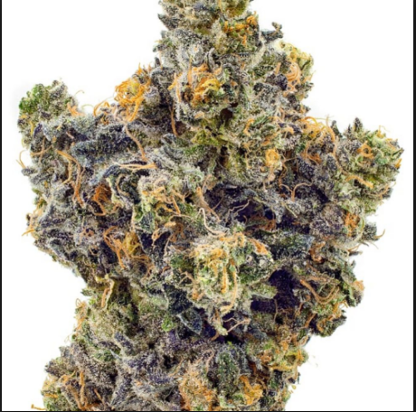 Sunset Sherbet 28 grams