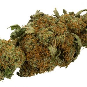 Royal Kush ( 1 ounce )